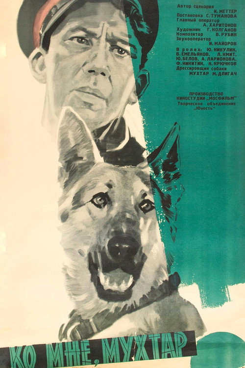 Come Here, Mukhtar! poster