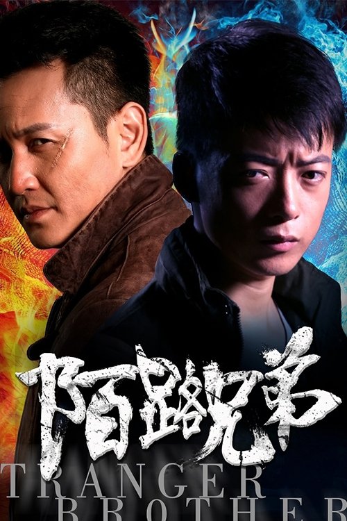 陌路兄弟 (2017) poster