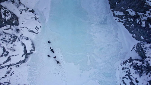 Gardiens de la forêt : Mongolie, la vallée des ours