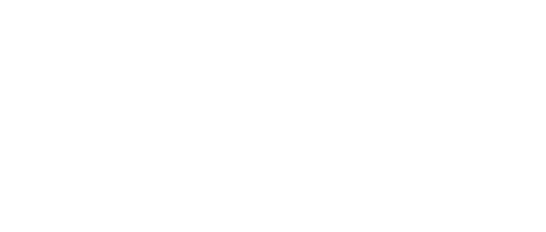 逆光飛翔