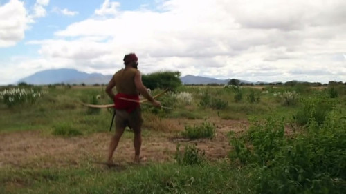 African Ambush