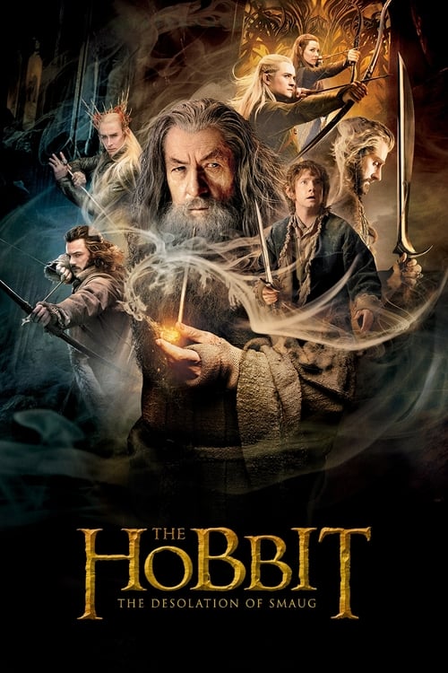 The Hobbit: The Desolation of Smaug