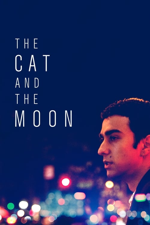 Grootschalige poster van The Cat and the Moon