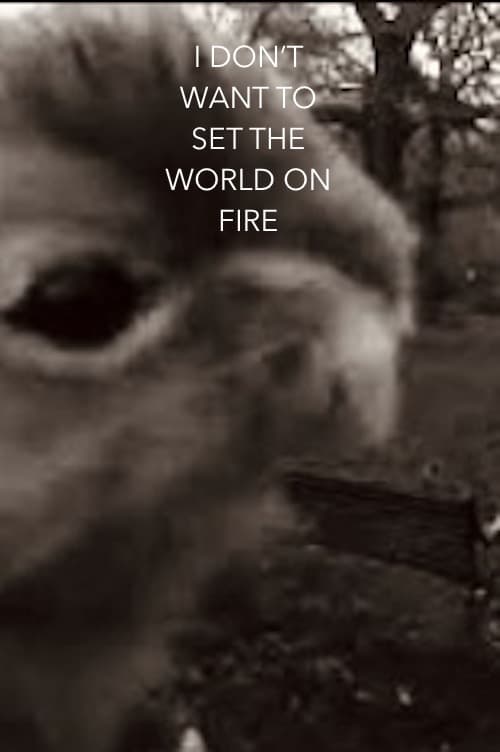 I Don't Want To Set The World On Fire (2023)