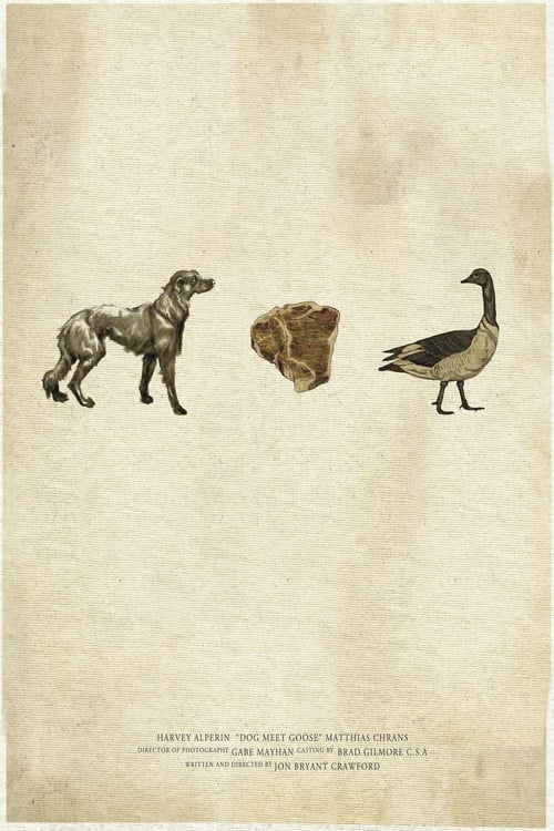 Poster do filme Dog Meet Goose