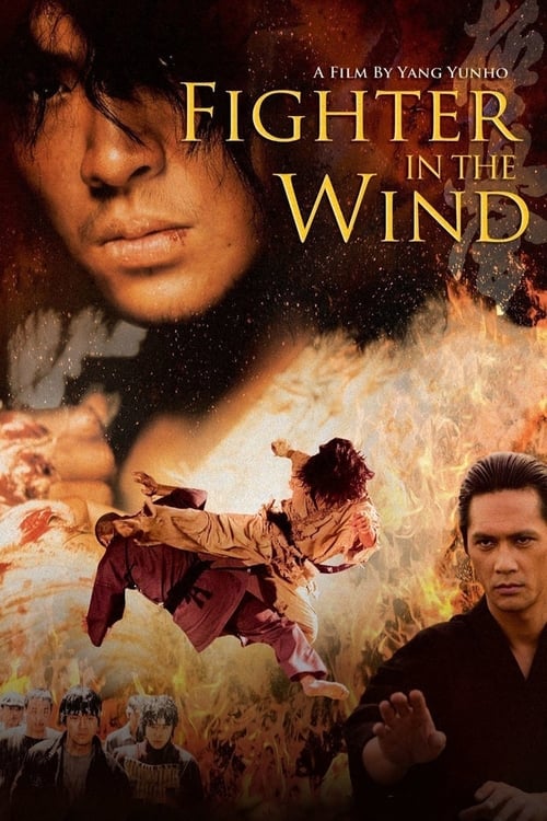 Largescale poster for Fighter in the Wind