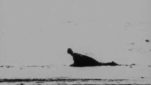 Image du film