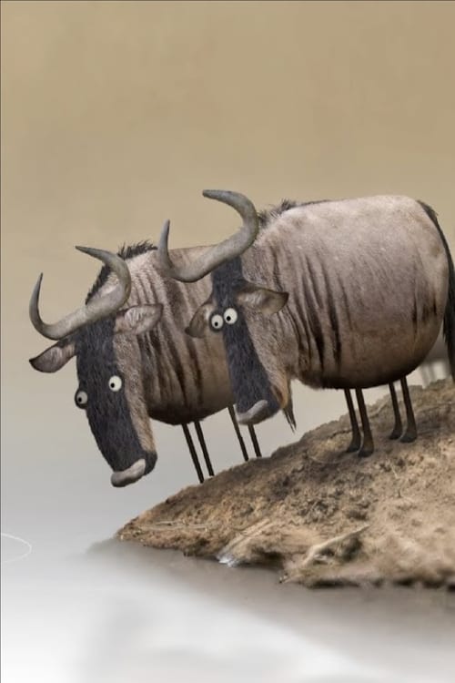 Wildebeest 2012