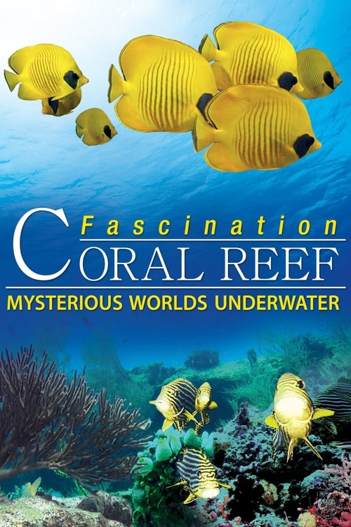 Image Fascination Coral Reef: Mysterious Worlds Underwater – Recifurile de corali (2012)