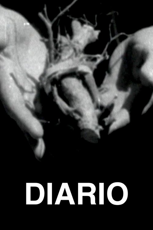 Diario movie poster player