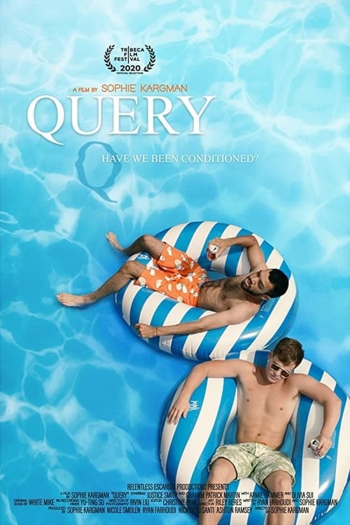 Largescale poster for Query