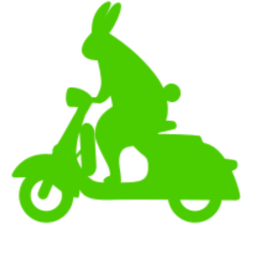 Point Pictures logo