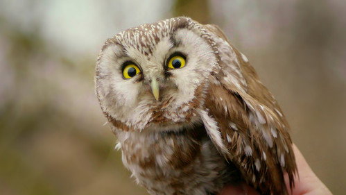 Russlands versteckte Paradiese