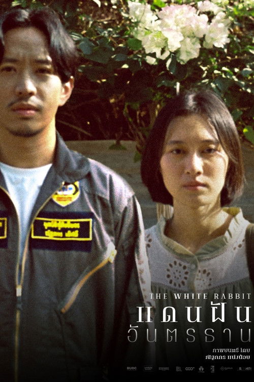 The White Rabbit poster