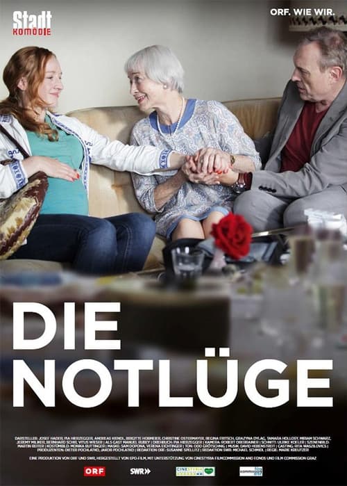 Die Notlüge (2017) poster