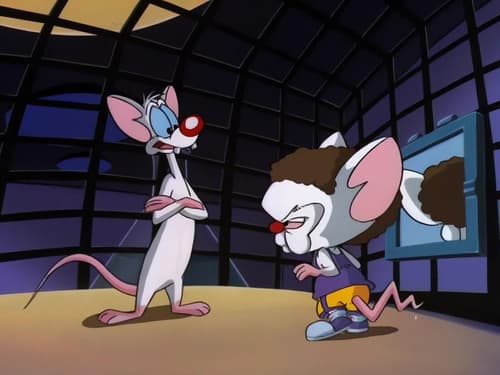 Poster della serie Pinky and the Brain