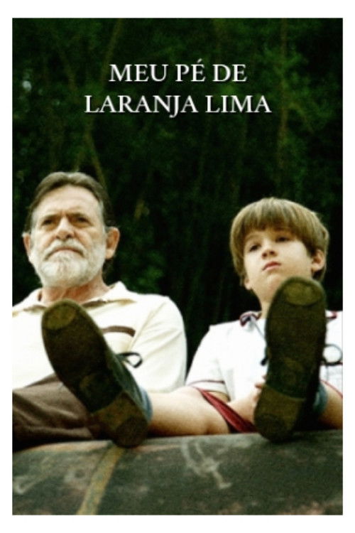 My Sweet Orange Tree poster