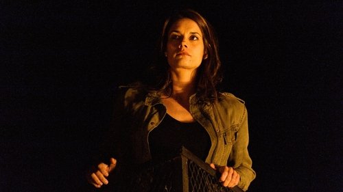 Rookie Blue: 6×1