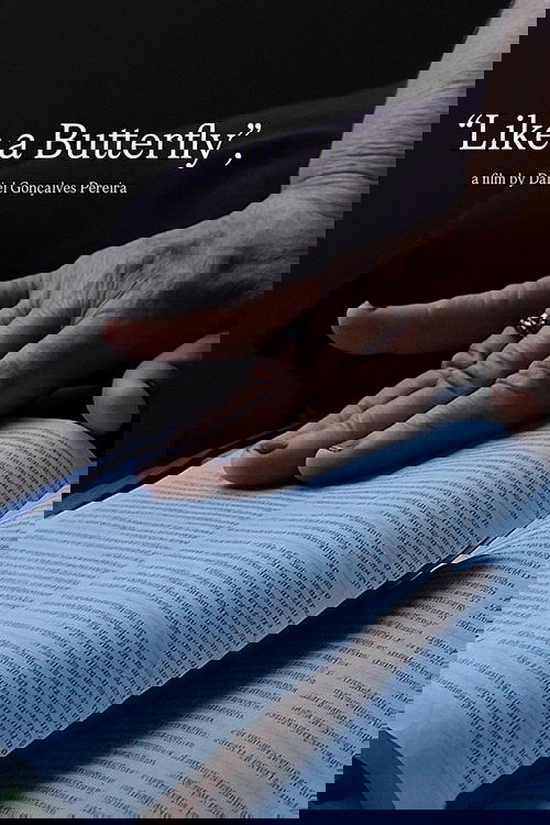 Igual a uma Borboleta