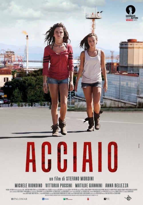 Poster Acciaio 2012