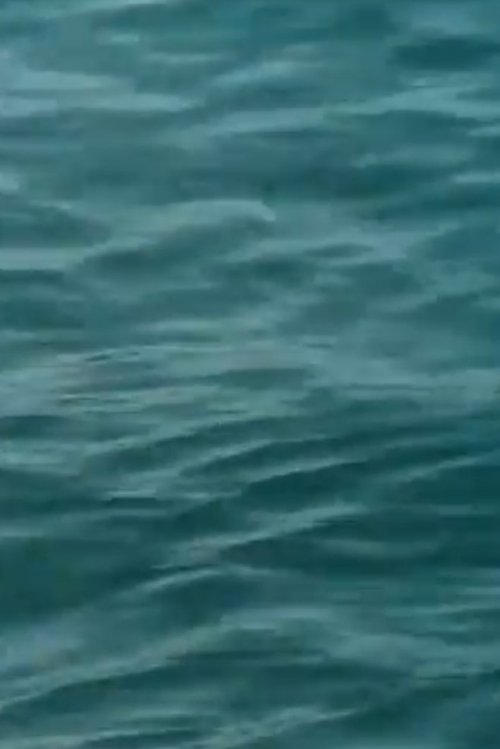 Waveforms (2003) poster
