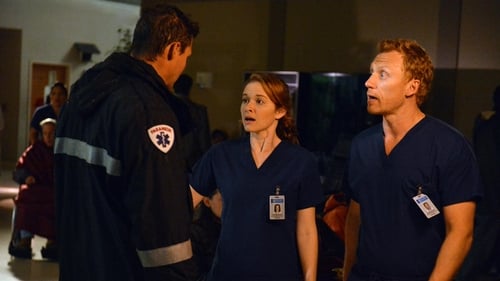 Grey’s Anatomy: 9×24