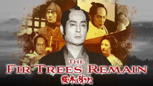 The Fir Trees Remain The Fir Trees Remain