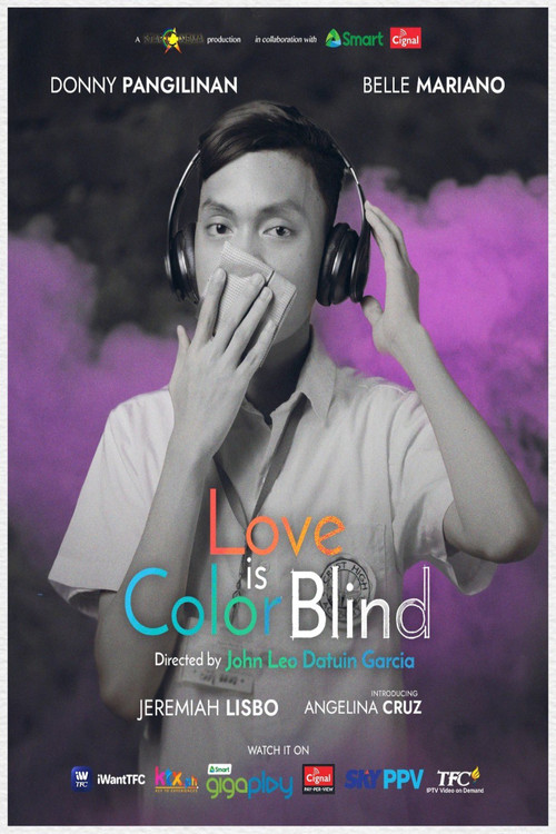 Love Is Color Blind poster