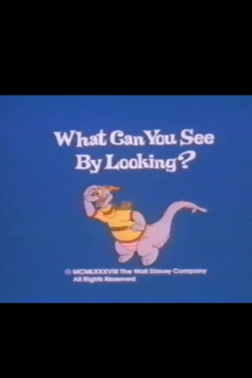 What Can You See by Looking? 1988
