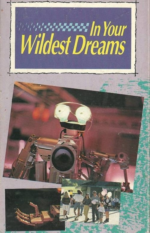 In Your Wildest Dreams (1991) poster