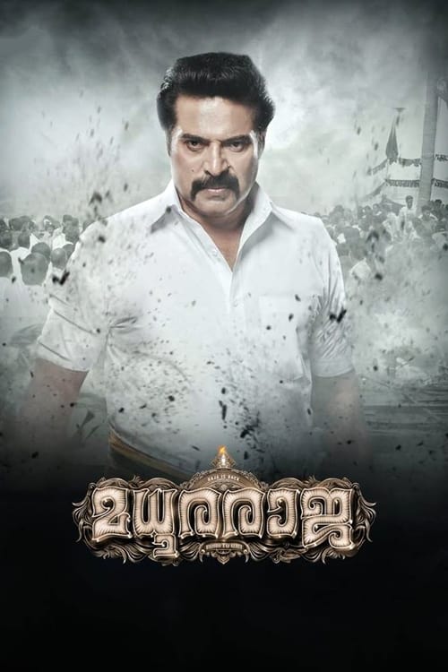 മധുരരാജാ (2019) poster