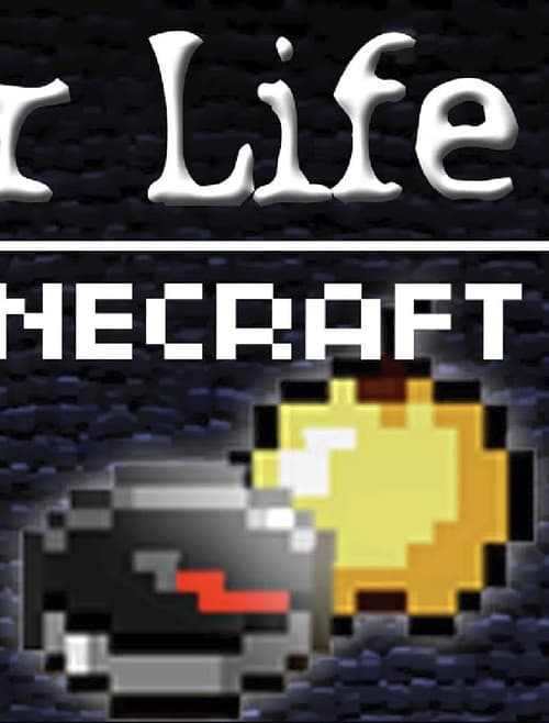 Craft For Life (2011)