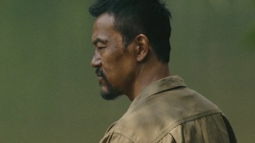 Fengmian Still