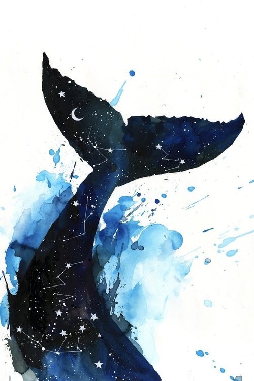 The Whale (None) Poster