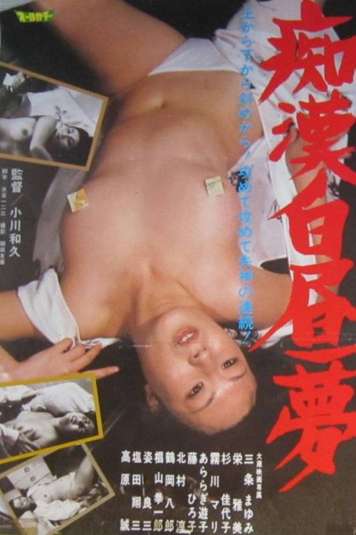 痴漢白昼夢