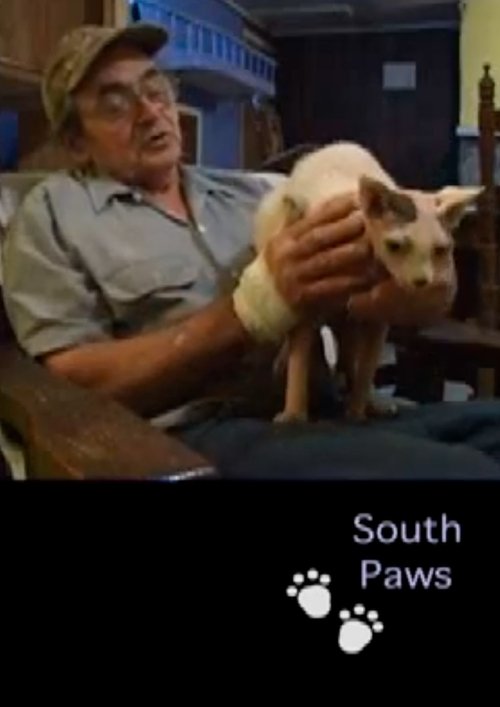 South Paws poster