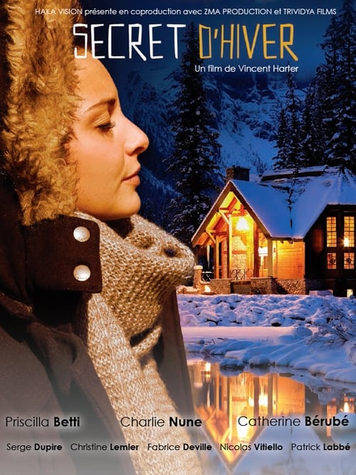 Secret d'hiver Movie Poster Image