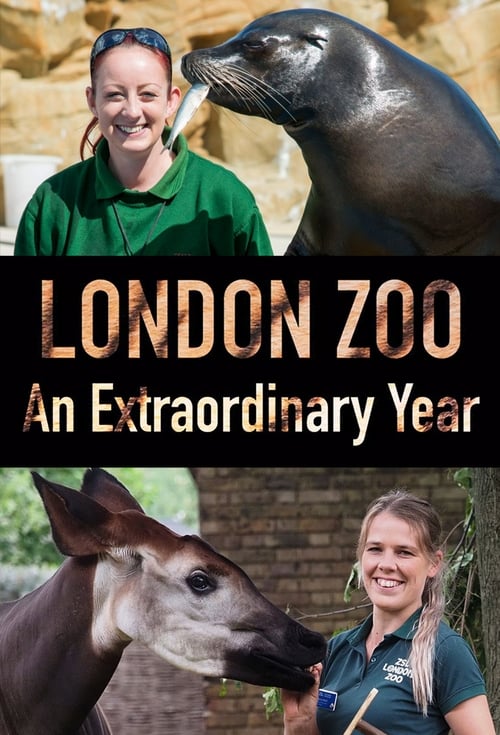 |EN| London Zoo: An Extraordinary Year