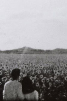 ひまわりのテーマ (1992) poster