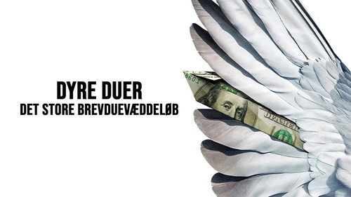 Dyre duer - Det store brevduevæddeløb Backdrop Blur