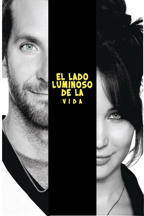 El Lado Luminoso De La Vida 2013