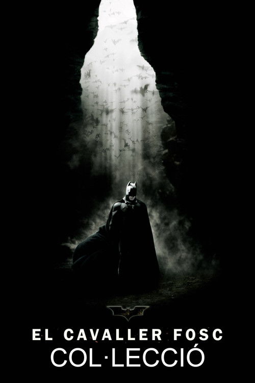 Pòster de El Cavaller Fosc - Col·lecció