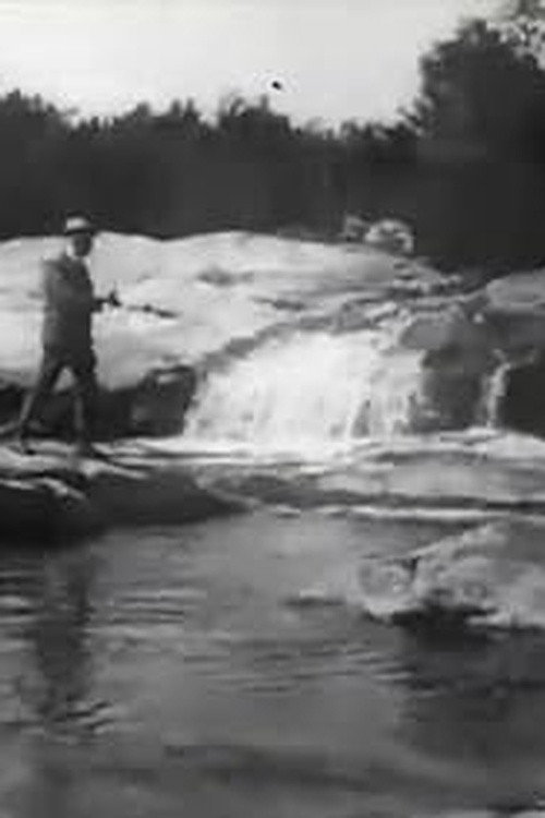 Poster zu Brook Trout Fishing