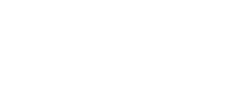 The Underclass