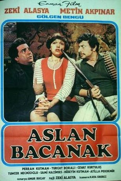 Aslan Bacanak movie poster player