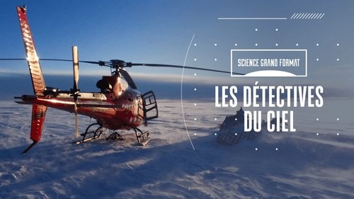 Les détectives du ciel