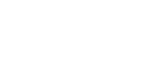 People Just Do Nothing: Big in Japan
