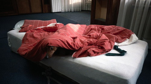 Image du film