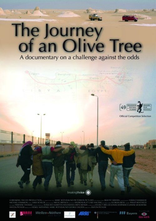 The Journey of an Olive Tree poster