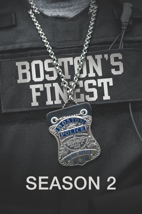 Where to stream Boston's Finest Season 2